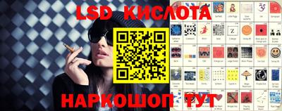 крисы Кунгур