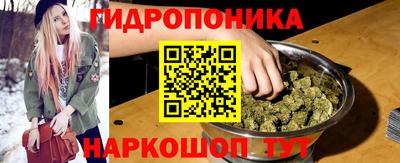 крисы Кунгур