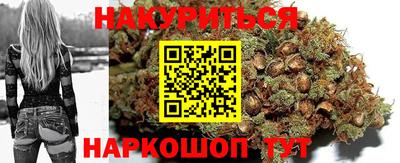 крисы Кунгур