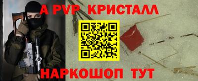 крисы Кунгур